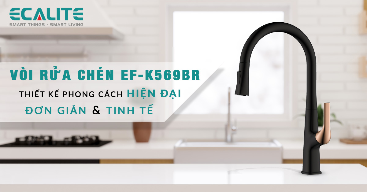 Thiết kế hiện đại của vòi rửa chén Ecalite EF-K569BR 